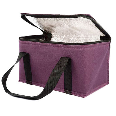 OEM Custom Printing Soft Insulated Cooler Bag 21*13*14 Cm Dengan Kapasitas 4L 16L 32L