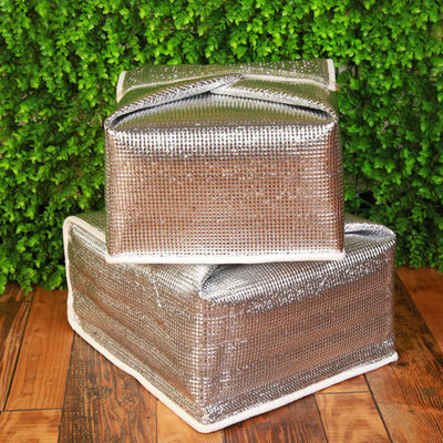 Tas Pendingin Foil Aluminium Promo Double Side Waterproof Untuk Anak-anak