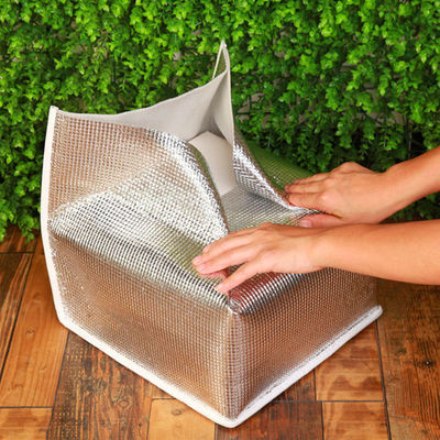Tas Pendingin Foil Aluminium Promo Double Side Waterproof Untuk Anak-anak